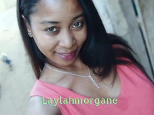 Laylahmorgane