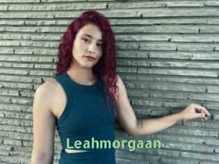 Leahmorgaan