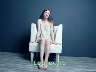 Leonecute