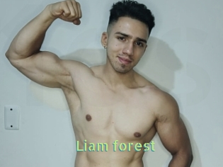 Liam_forest