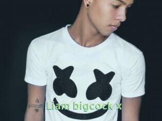 Liam_bigcock_x