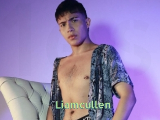 Liamcullen