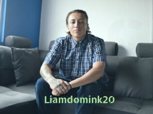 Liamdomink20