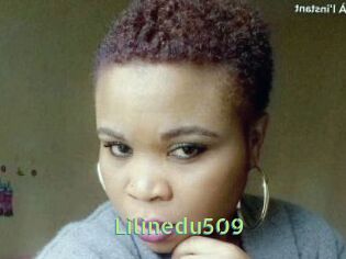 Lilinedu509