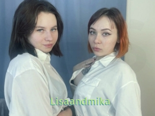 Lisaandmika