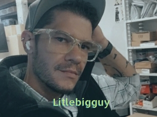 Litlebigguy