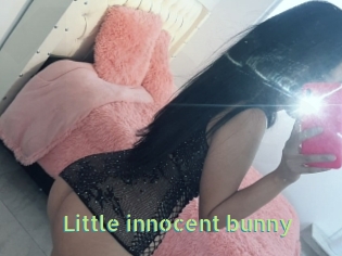 Little_innocent_bunny