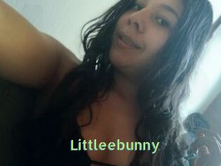 Littleebunny