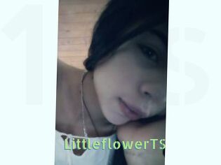 LittleflowerTS