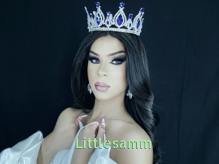 Littlesamm