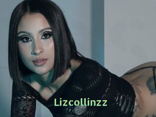 Lizcollinzz
