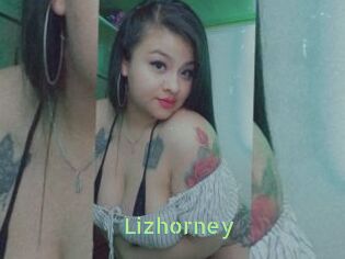 Lizhorney