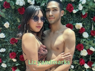 Lizyandmarks
