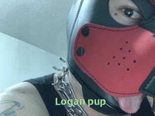 Logan_pup