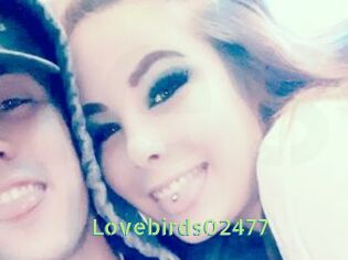 Lovebirds02477