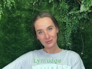 Lynfudge