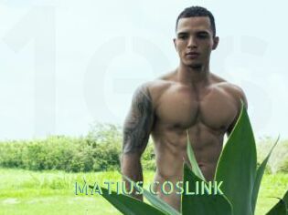 MATIUS_COSLINK