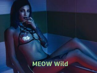 MEOW_Wild