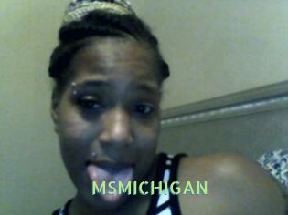 MSMICHIGAN