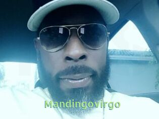 Mandingovirgo