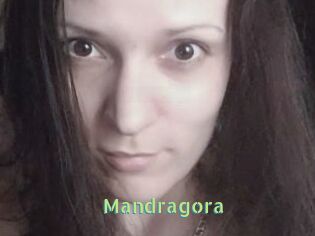 Mandragora