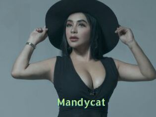 Mandycat