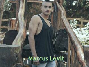 Marcus_Levit
