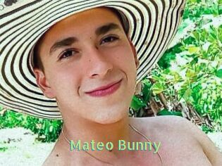 Mateo_Bunny