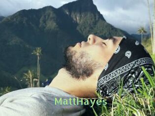 MattHayes