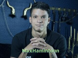 MaxHamintonn