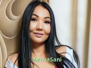 MeinaSani