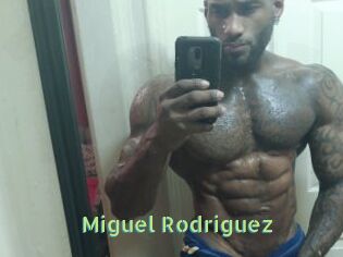 Miguel_Rodriguez