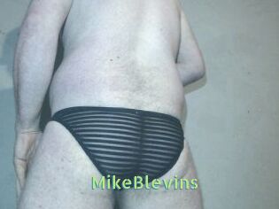 Mike_Blevins