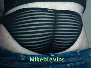 Mikeblevins