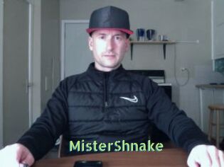 MisterShnake