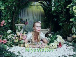 MiyaWalles