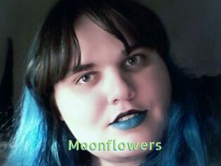 Moonflowers