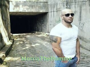MorrisTheHumme