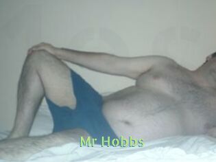 Mr_Hobbs