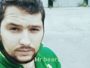 Mr_bear1