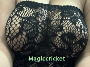 Magiccricket