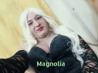 Magnolia