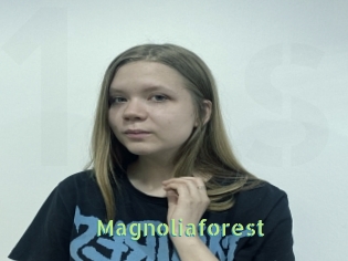 Magnoliaforest