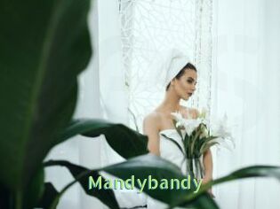 Mandybandy