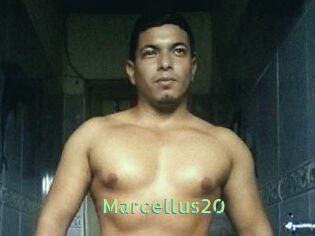 Marcellus20