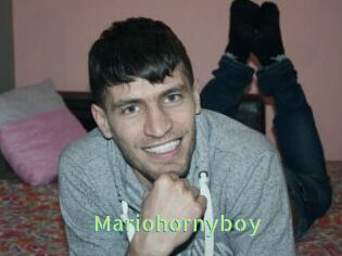 Mariohornyboy