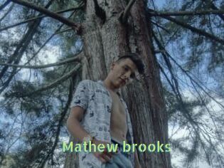 Mathew_brooks