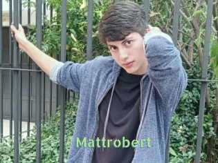 Mattrobert