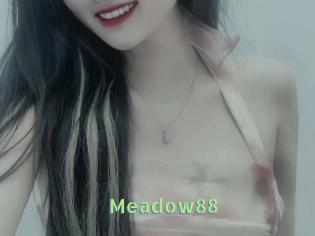 Meadow88