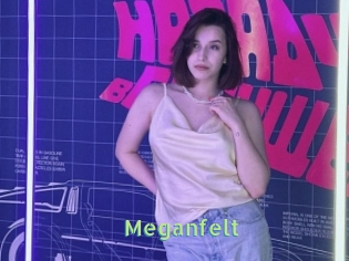Meganfelt